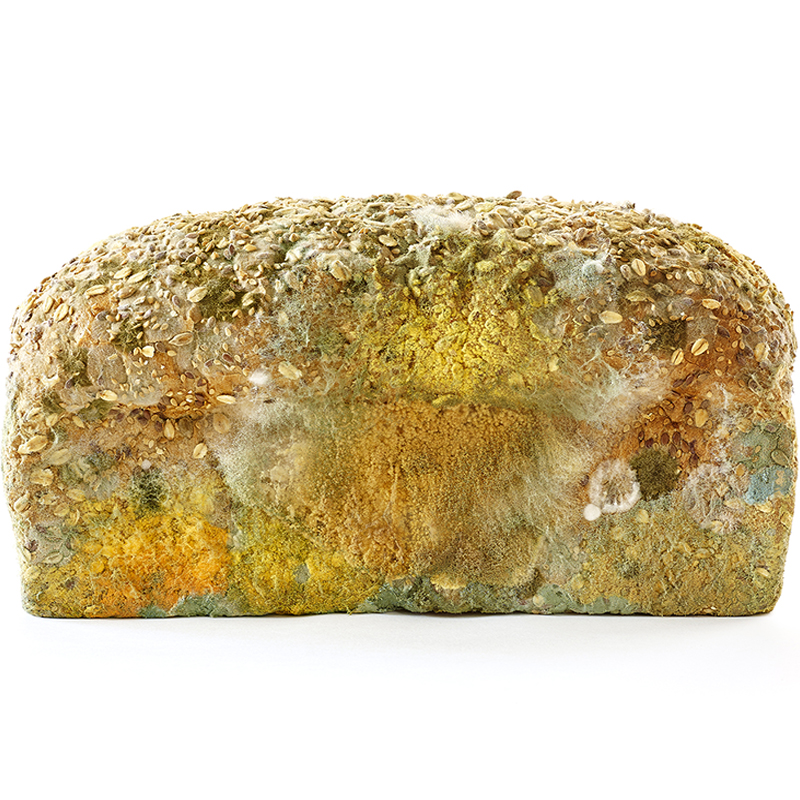 BREAD ART