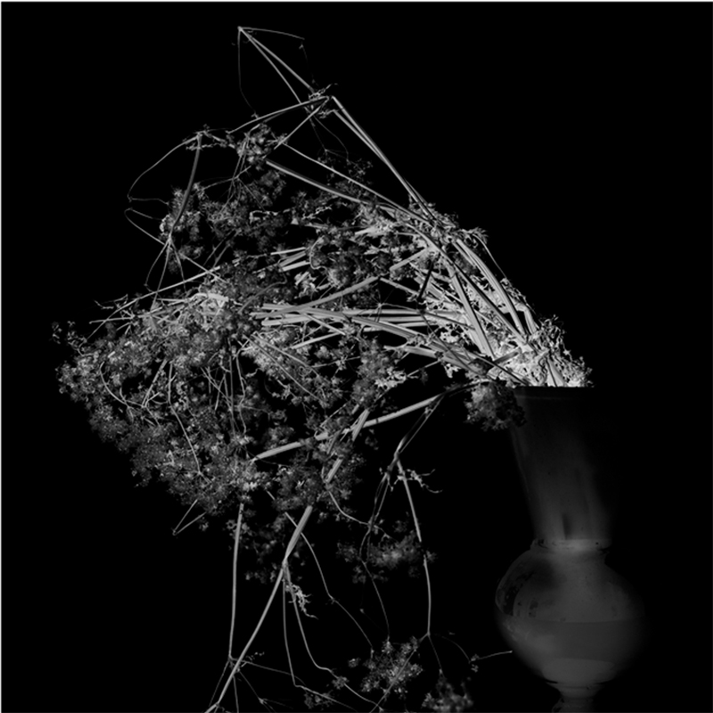 INVERSIONS ART